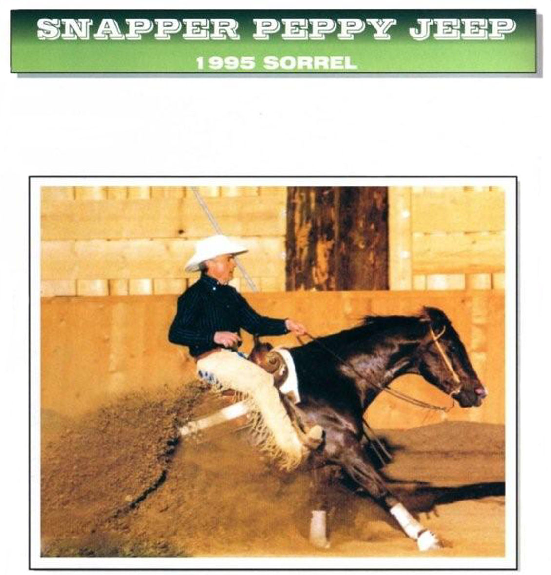 Snapper Peppy Jeep